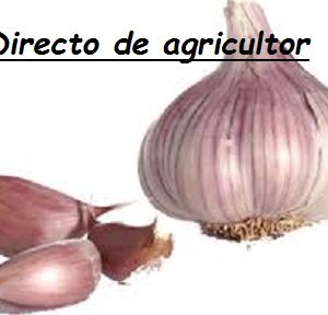 Ajos secos malla Zaragoza